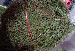 工業(yè)垃圾打包機